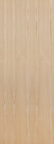 Flush Natural Hollow Core Birch Exterior Wood Door