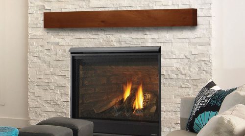 Novus Intellifire Liquid Propane Gas Direct Vent