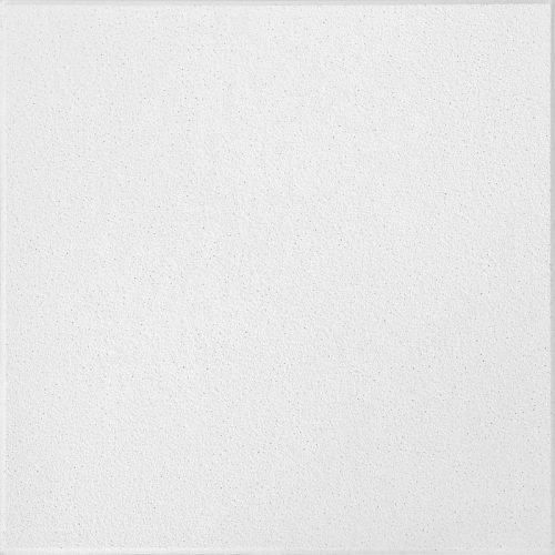 Carton of (16) 24 in. x 24 in. Model 271 SAHARA Ceiling Tile